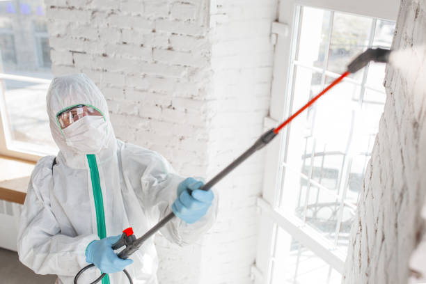 Best Airborne Mold Testing  in Omaha, TX