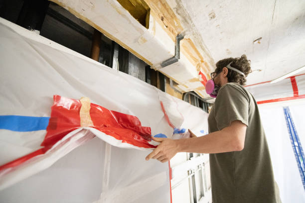  Omaha, TX Mold Removal Pros