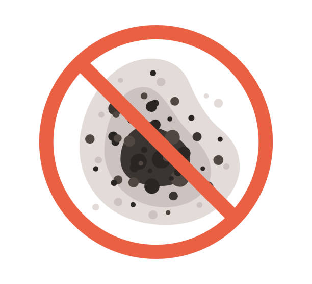 Best Industrial Mold Remediation  in Omaha, TX