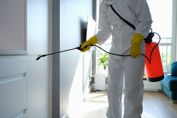 Best Asbestos and Lead Testing During Mold Inspection  in Omaha, TX