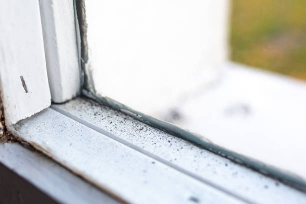 Best Air Quality Testing for Mold Spores  in Omaha, TX
